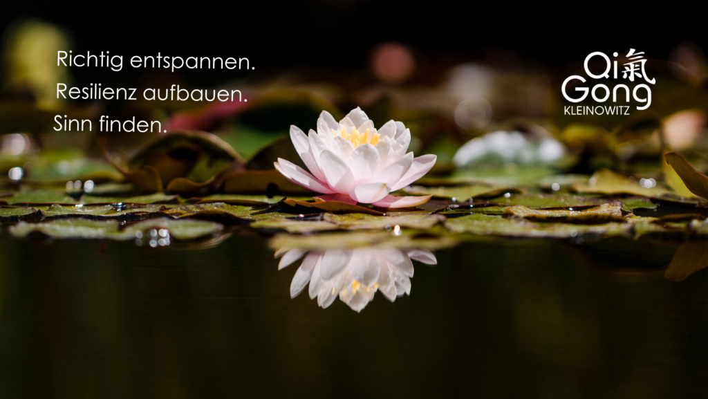 WWW Titelbild 3 Dezember 2023