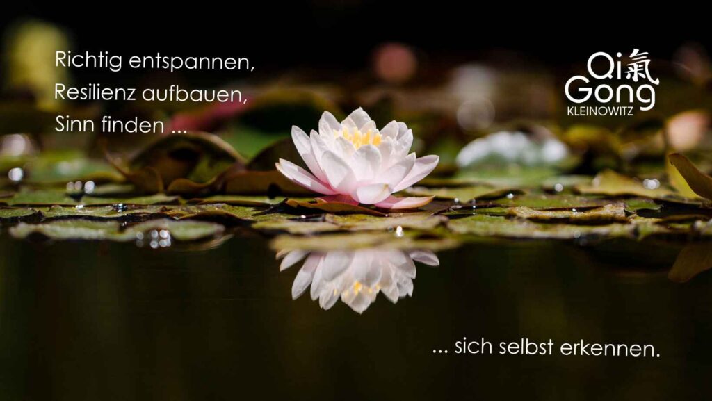 WWW Titelbild 4 klein Januar 2026